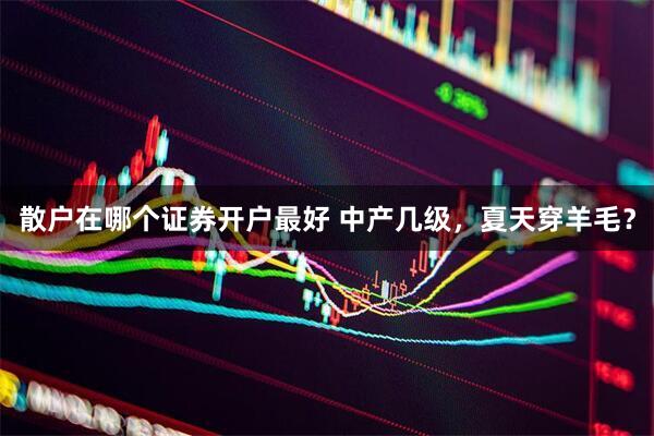 散户在哪个证券开户最好 中产几级，夏天穿羊毛？