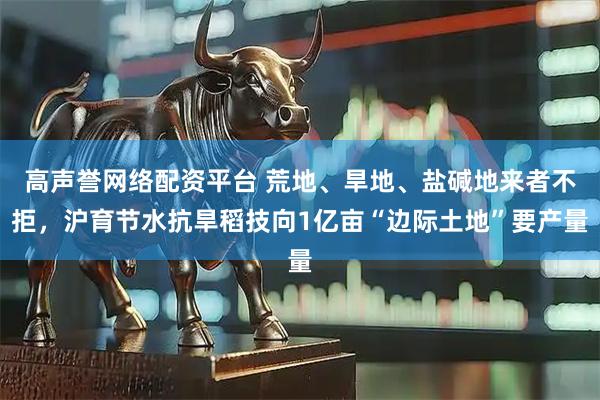 高声誉网络配资平台 荒地、旱地、盐碱地来者不拒，沪育节水抗旱稻技向1亿亩“边际土地”要产量
