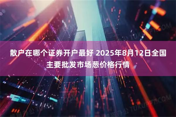 散户在哪个证券开户最好 2025年8月12日全国主要批发市场葱价格行情